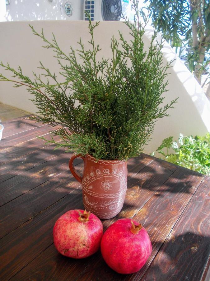 Nyfes Traditional Boutique Frosyni Skyros Ngoại thất bức ảnh