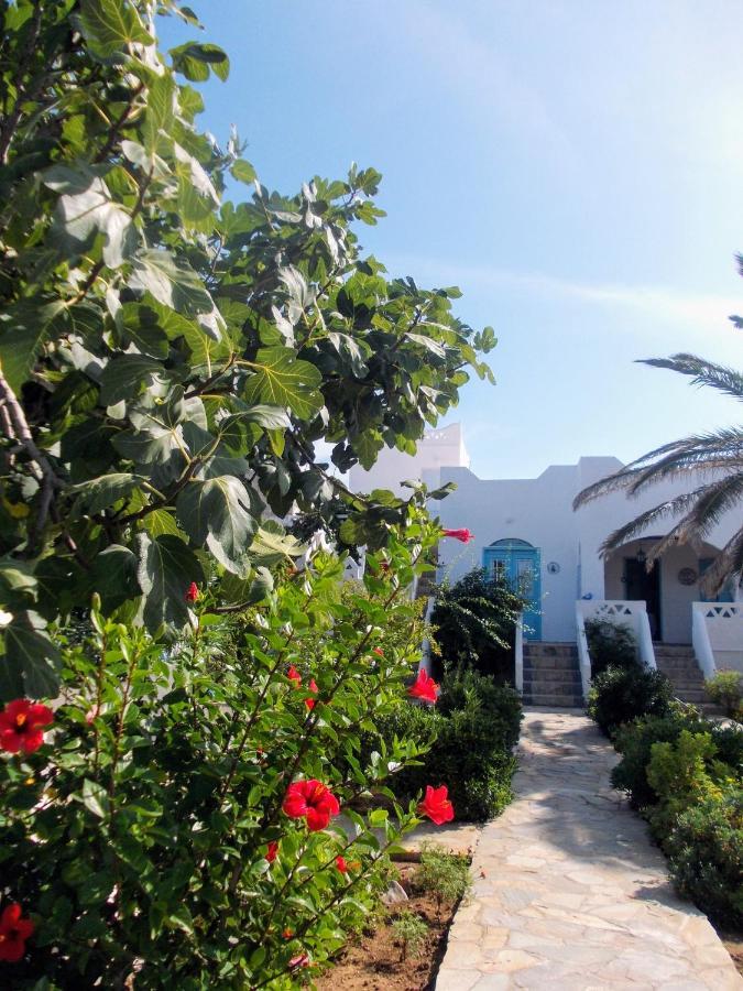 Nyfes Traditional Boutique Frosyni Skyros Ngoại thất bức ảnh