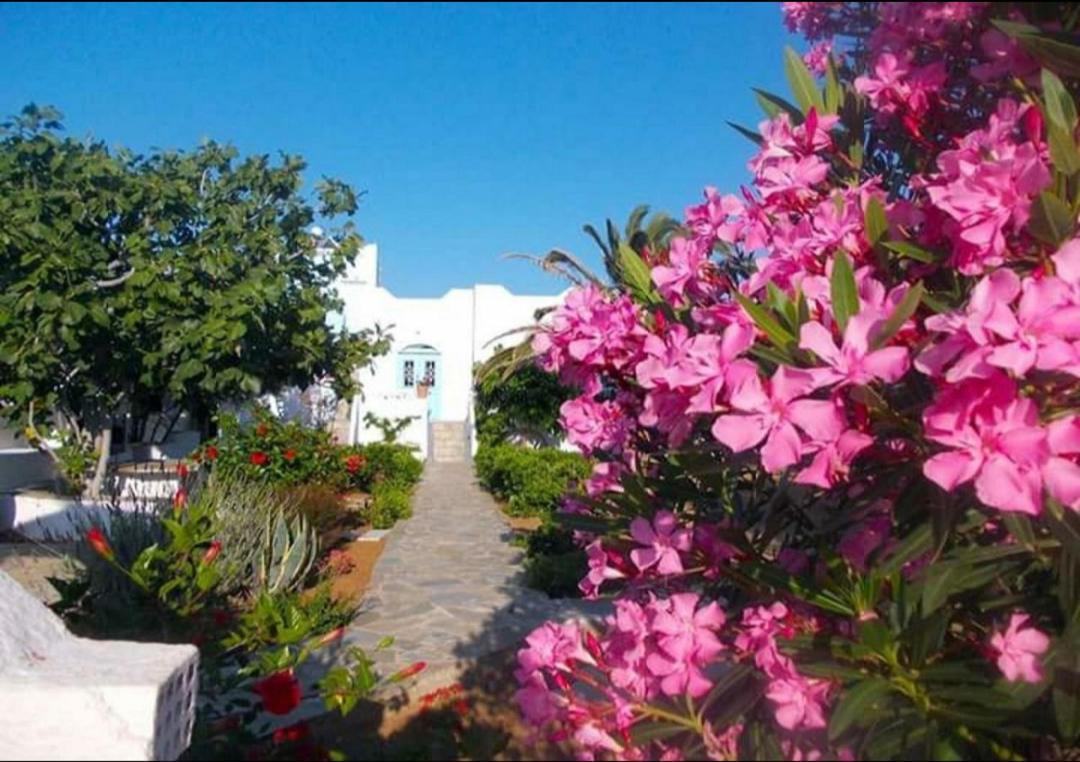 Nyfes Traditional Boutique Frosyni Skyros Ngoại thất bức ảnh